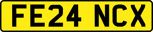 FE24NCX