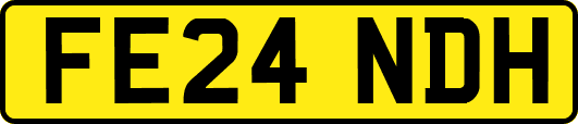 FE24NDH