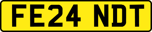 FE24NDT