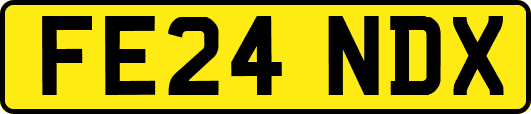 FE24NDX