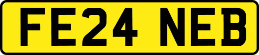 FE24NEB