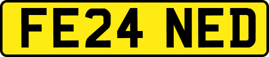 FE24NED