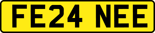 FE24NEE