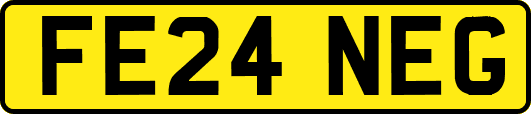 FE24NEG