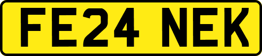 FE24NEK