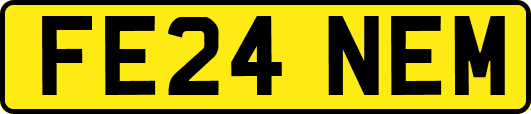 FE24NEM