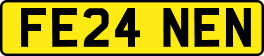 FE24NEN