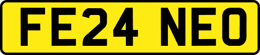 FE24NEO