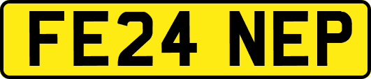 FE24NEP