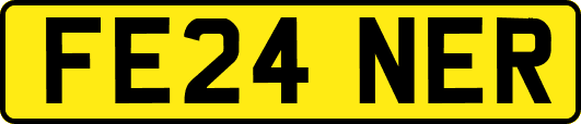 FE24NER