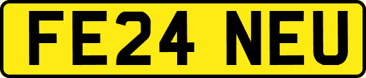 FE24NEU