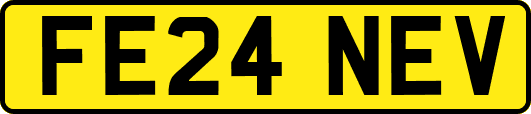 FE24NEV