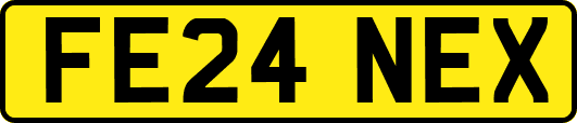 FE24NEX