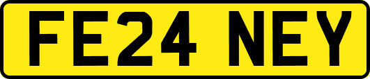 FE24NEY