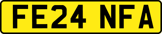 FE24NFA