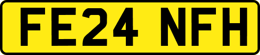 FE24NFH