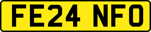 FE24NFO