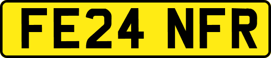 FE24NFR
