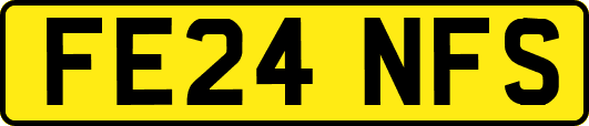 FE24NFS