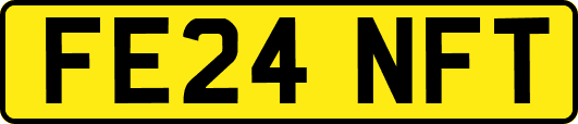 FE24NFT