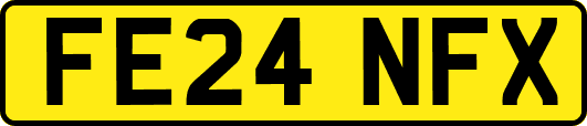 FE24NFX