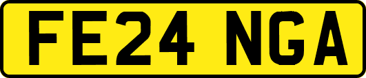 FE24NGA