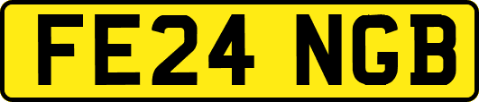 FE24NGB