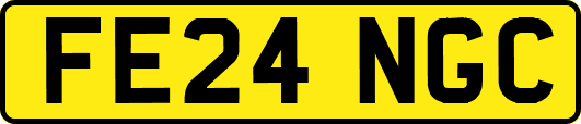 FE24NGC
