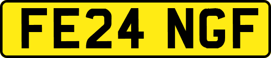 FE24NGF