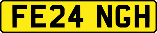 FE24NGH
