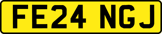 FE24NGJ