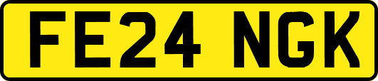 FE24NGK