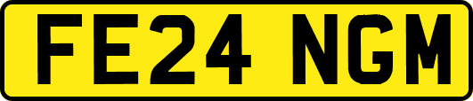 FE24NGM