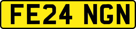 FE24NGN