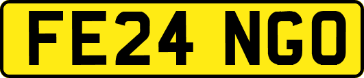 FE24NGO