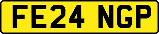 FE24NGP