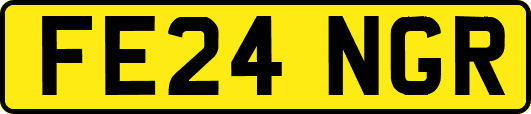 FE24NGR