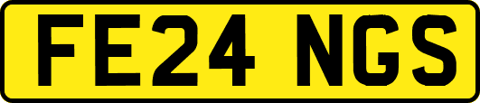 FE24NGS