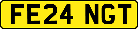 FE24NGT