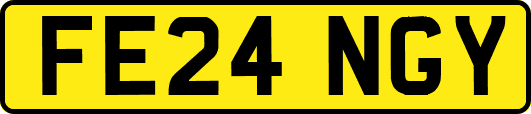 FE24NGY