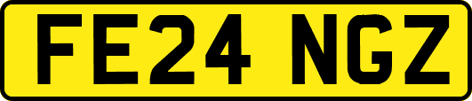 FE24NGZ