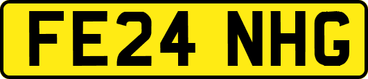 FE24NHG