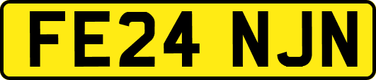FE24NJN