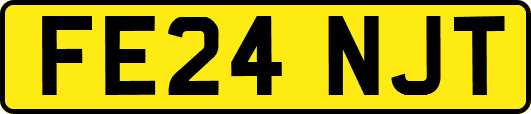 FE24NJT