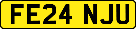 FE24NJU