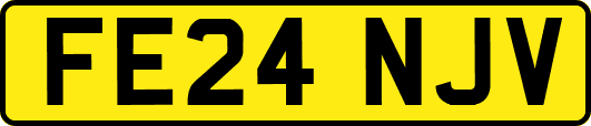 FE24NJV