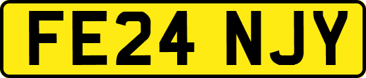 FE24NJY