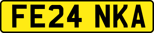 FE24NKA