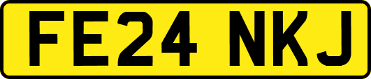 FE24NKJ