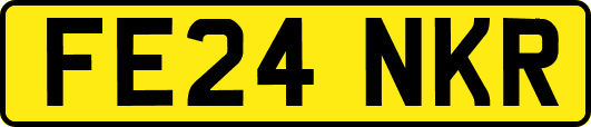 FE24NKR